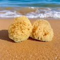Load image into Gallery viewer, Natural Sea Sponge