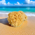 Load image into Gallery viewer, Natural Sea Sponge