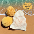 Load image into Gallery viewer, Dead Sea Sponge