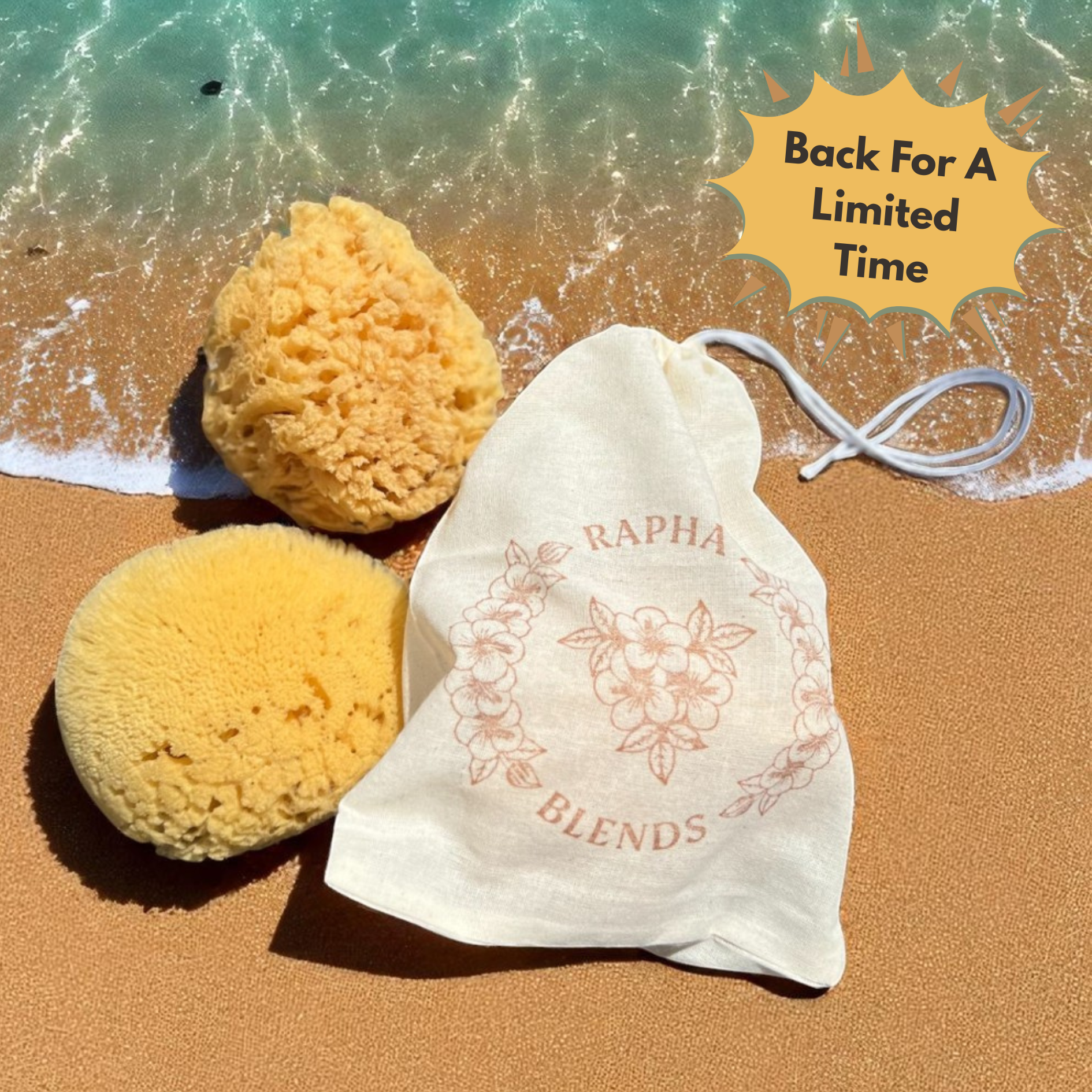 Dead Sea Sponge