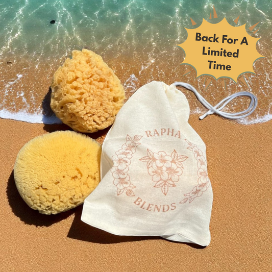 Dead Sea Sponge