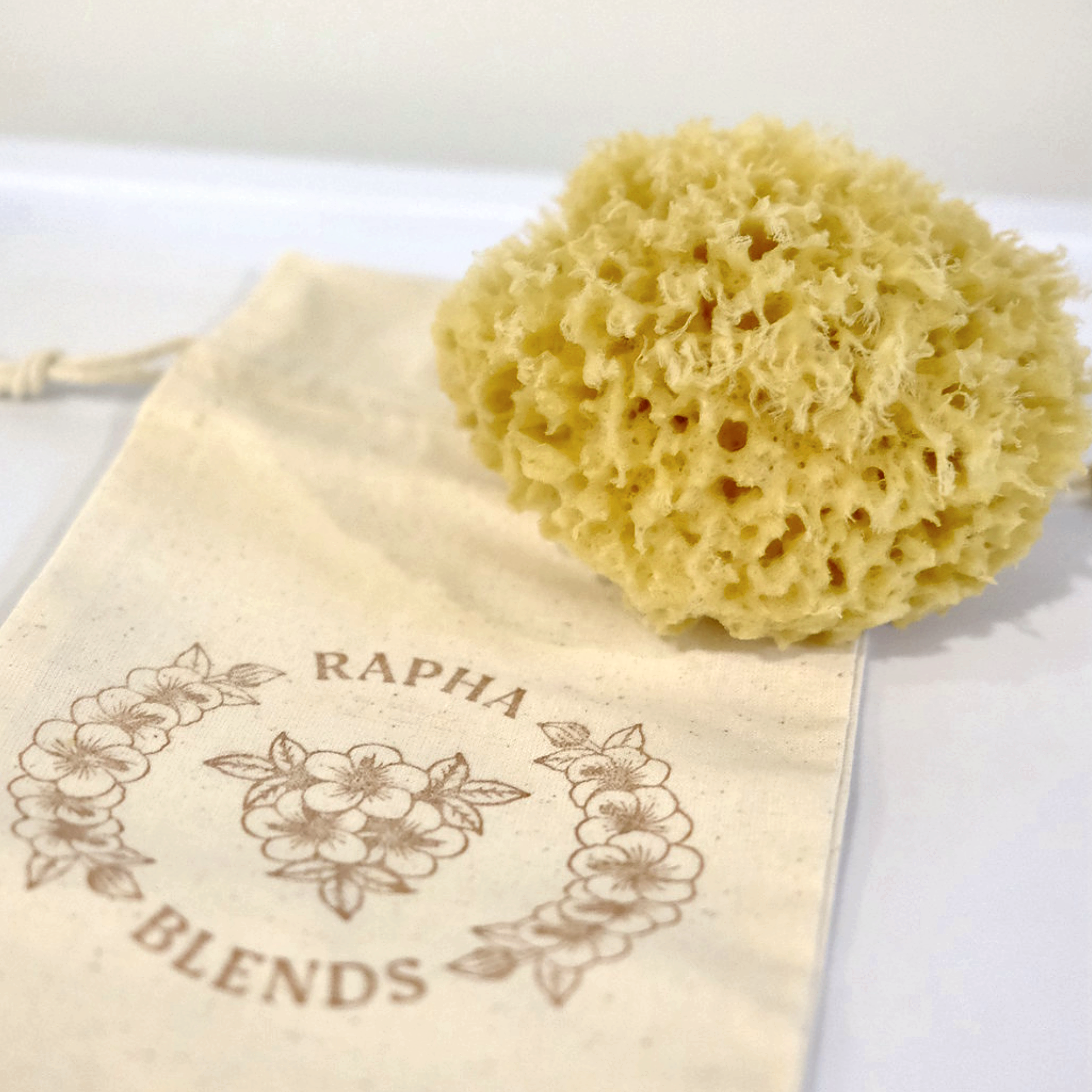 Natural Sea Sponge