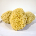 Load image into Gallery viewer, Natural Sea Sponge
